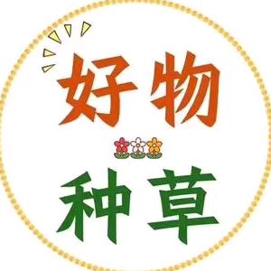 种草小达人