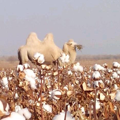 jun💖唯 ju ting留