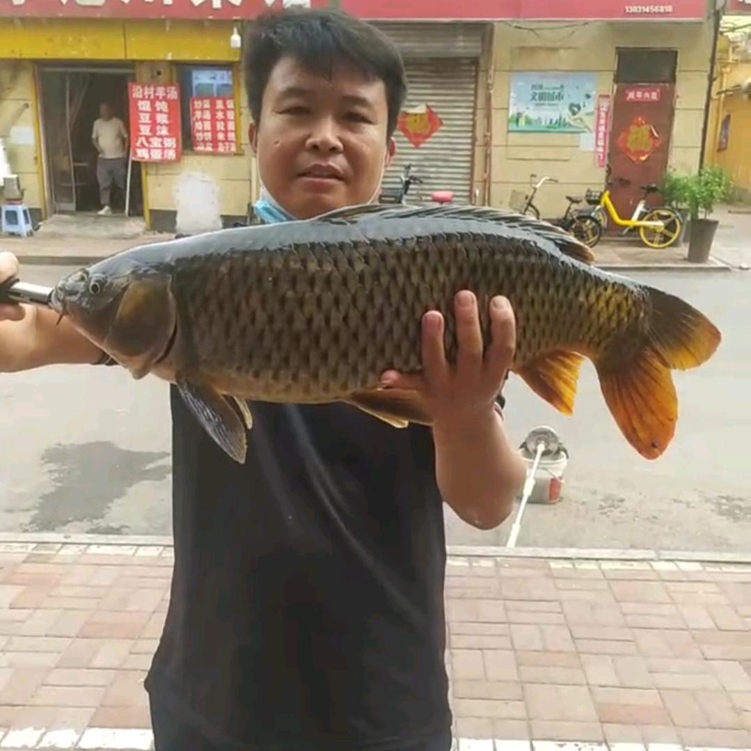飞