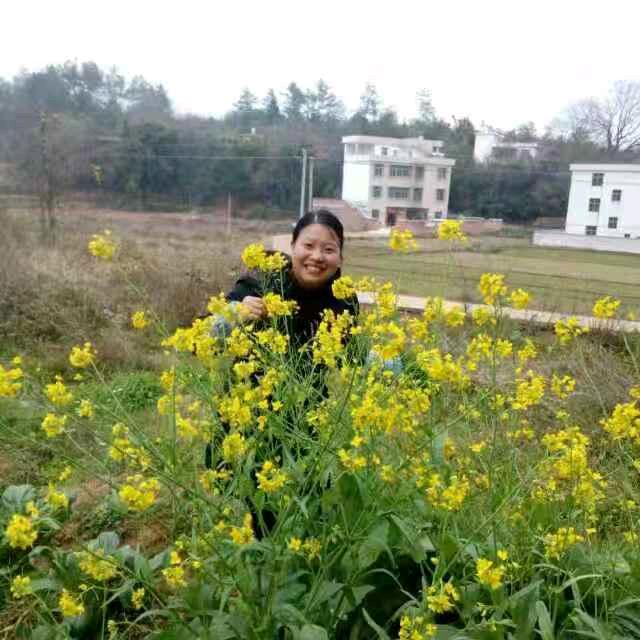 好运连连