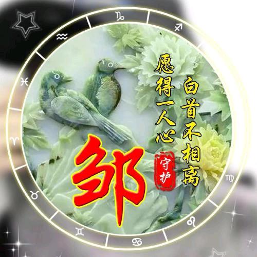 猪猪的美好生活