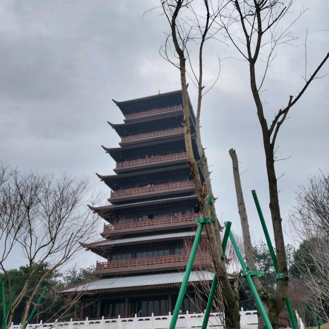 づ❤️ど宋你好运