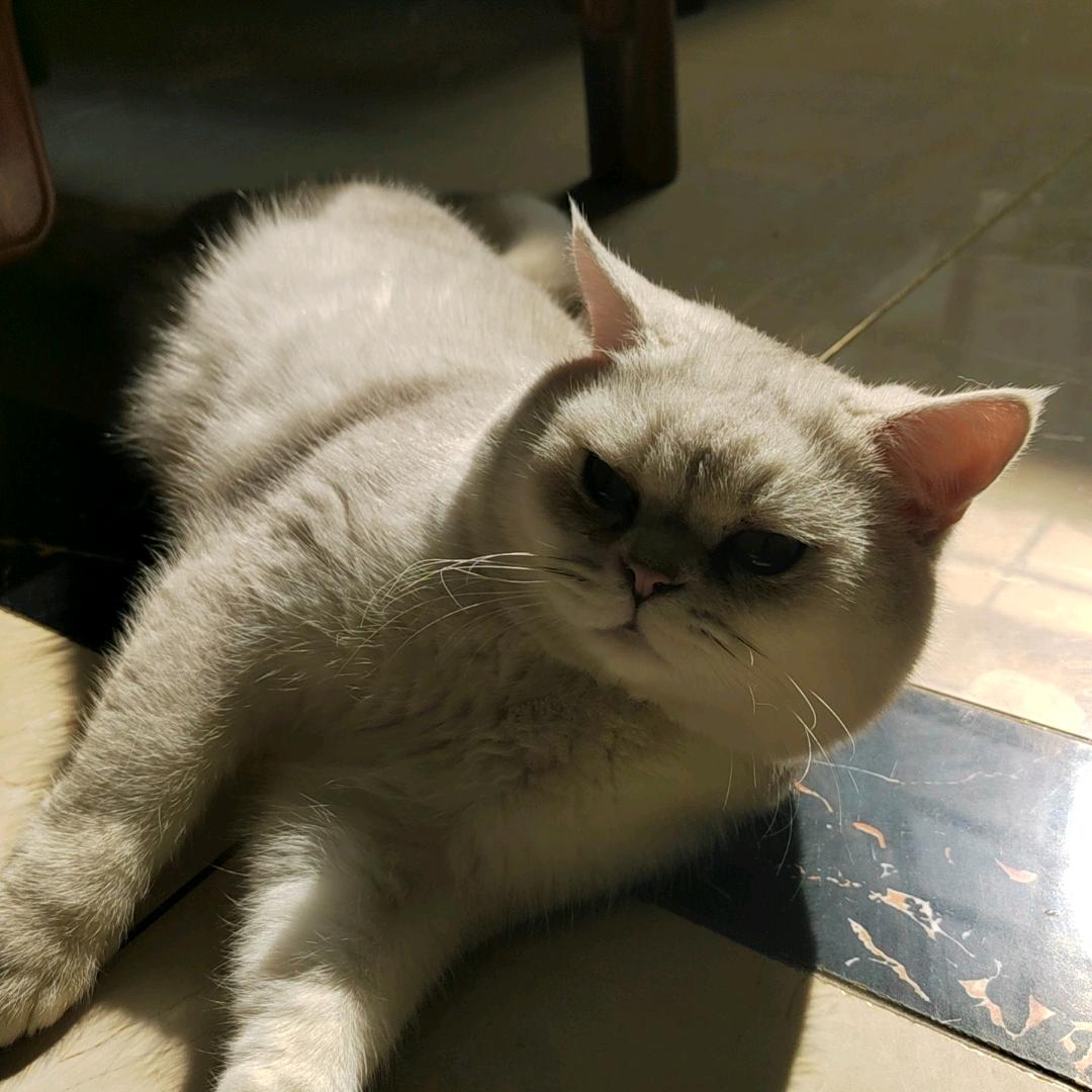 琪琪看剧