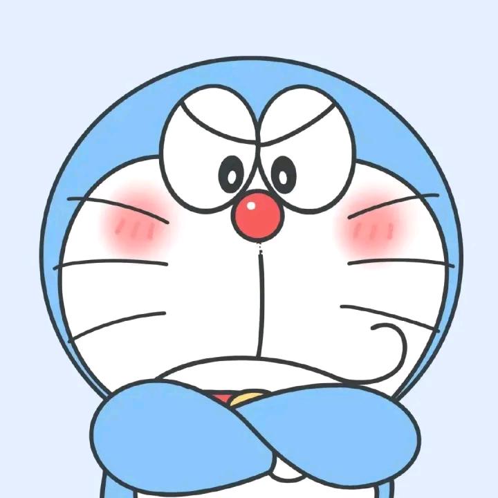 🦓还没睡