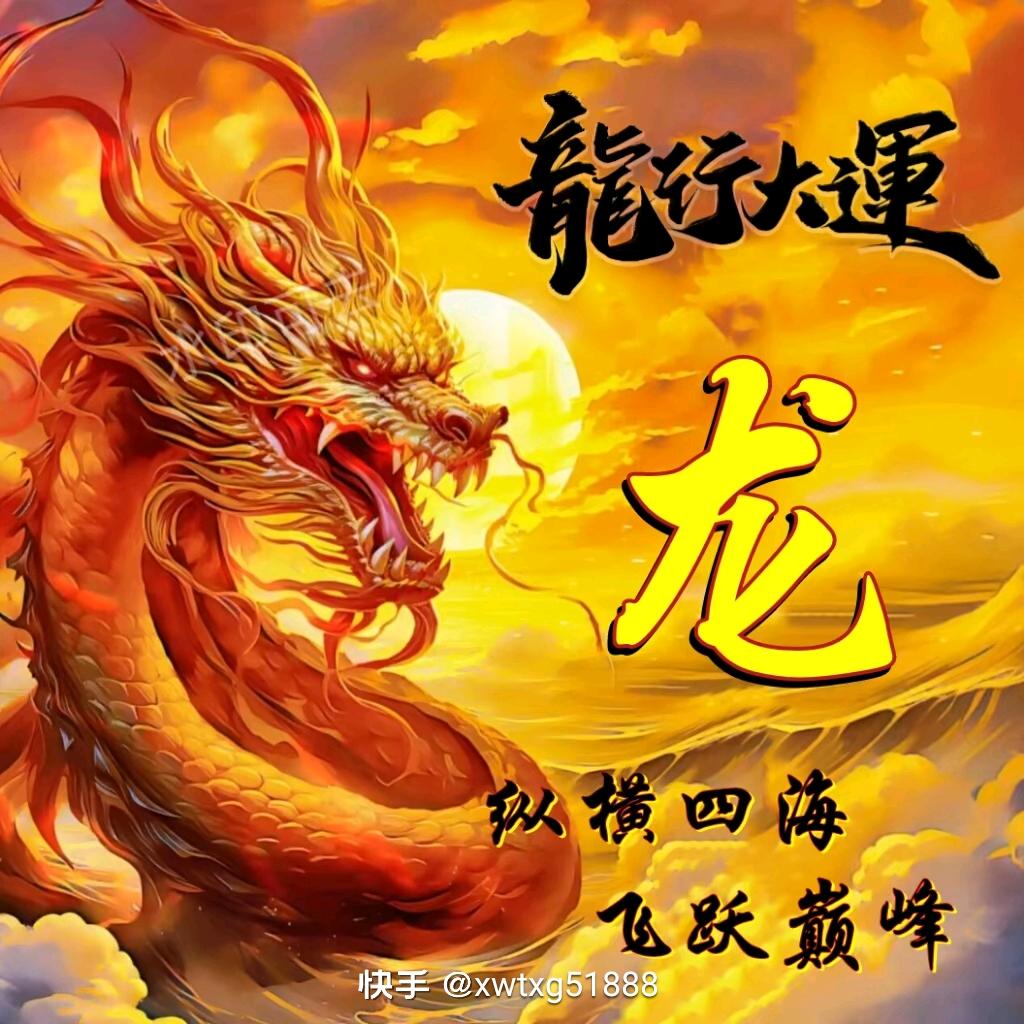 龙游天下