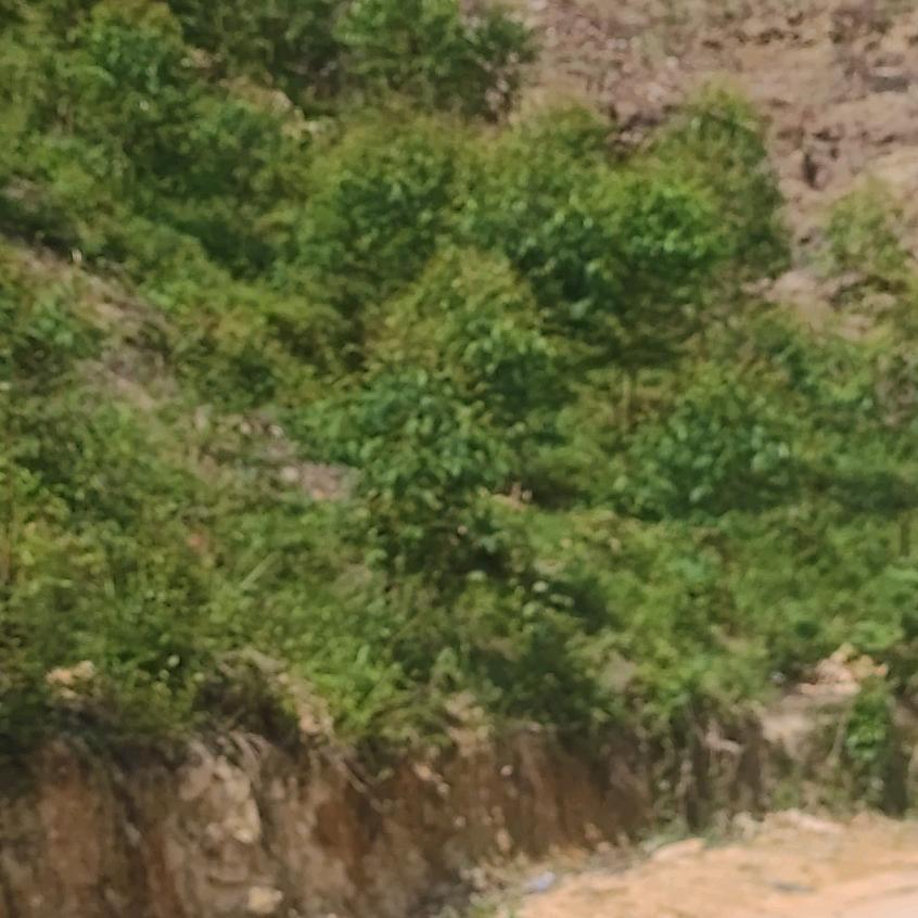 幸福守望《羽+佳》