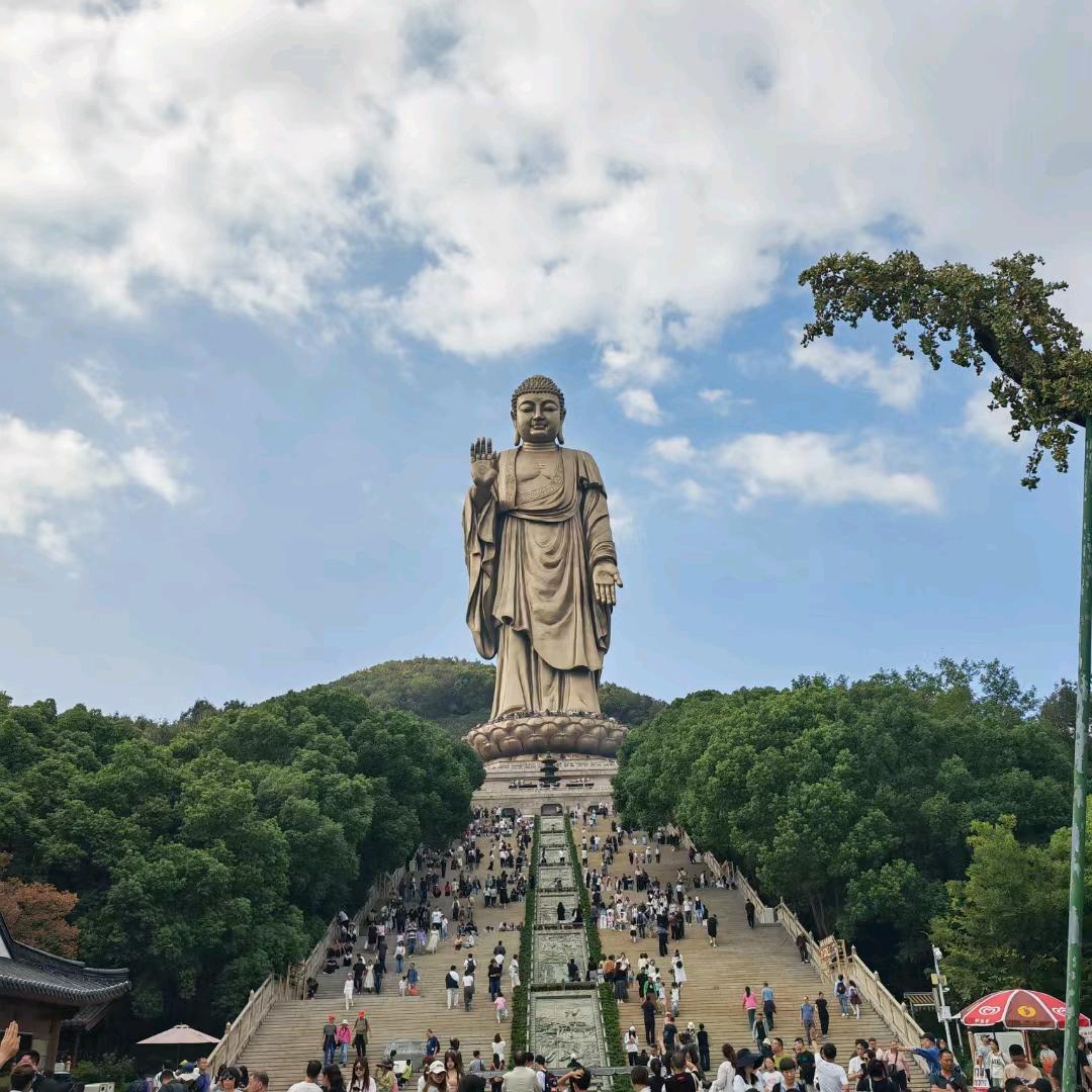 小袁观天下