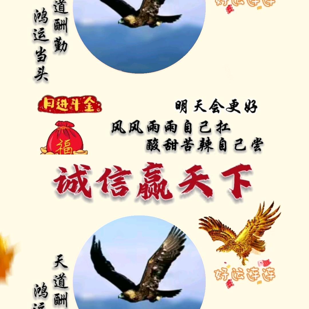 自由雪鹰