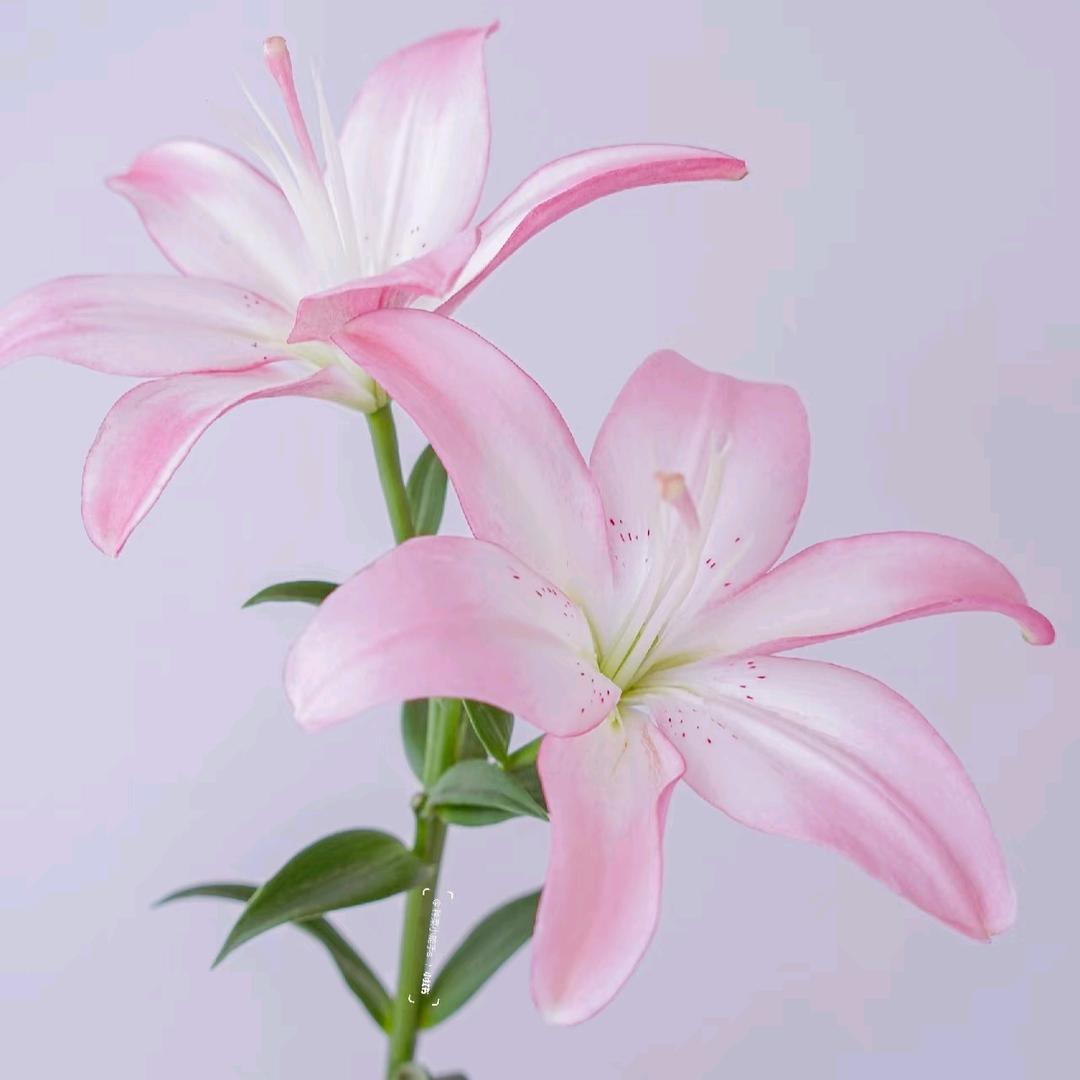 幸福一家人❤️❤️