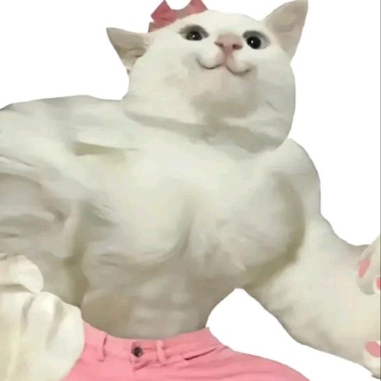资本家