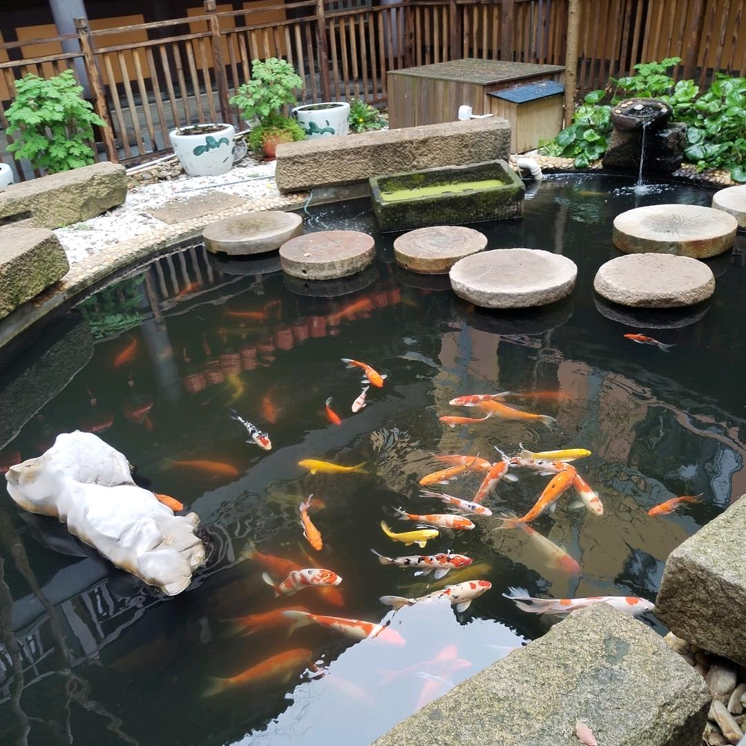 海阔天空（拒私聊）