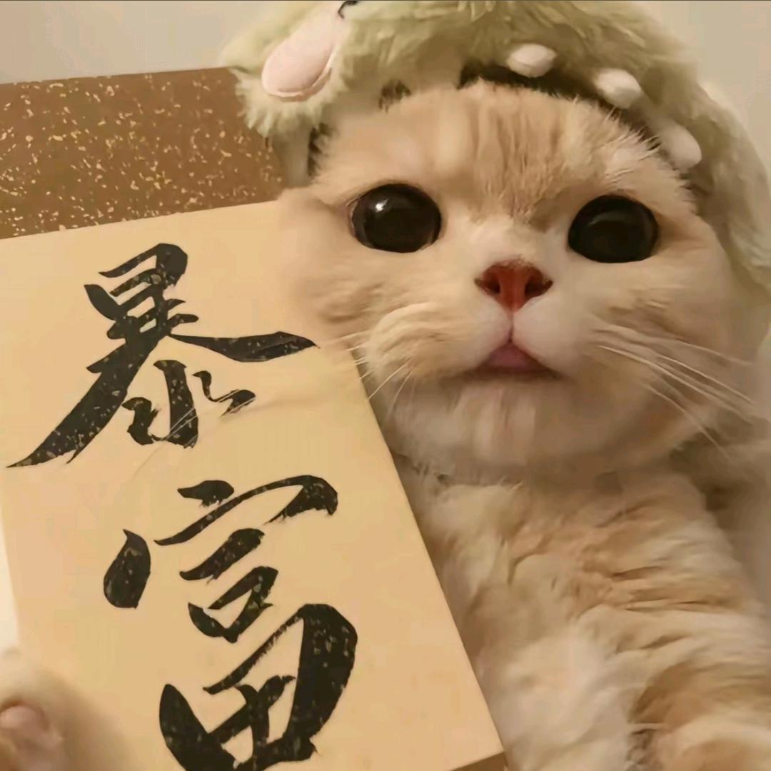 美女