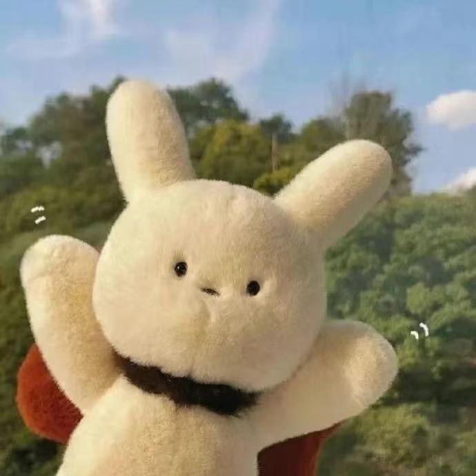 PP