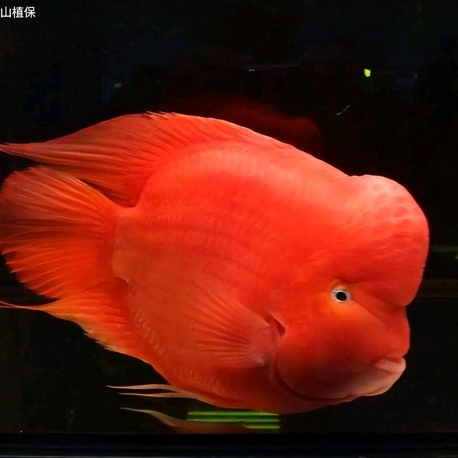 🌈 快 乐 钓 鱼 🔥🔥