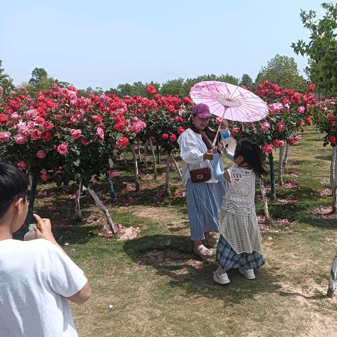 天天在一起666🤦‍♂️？