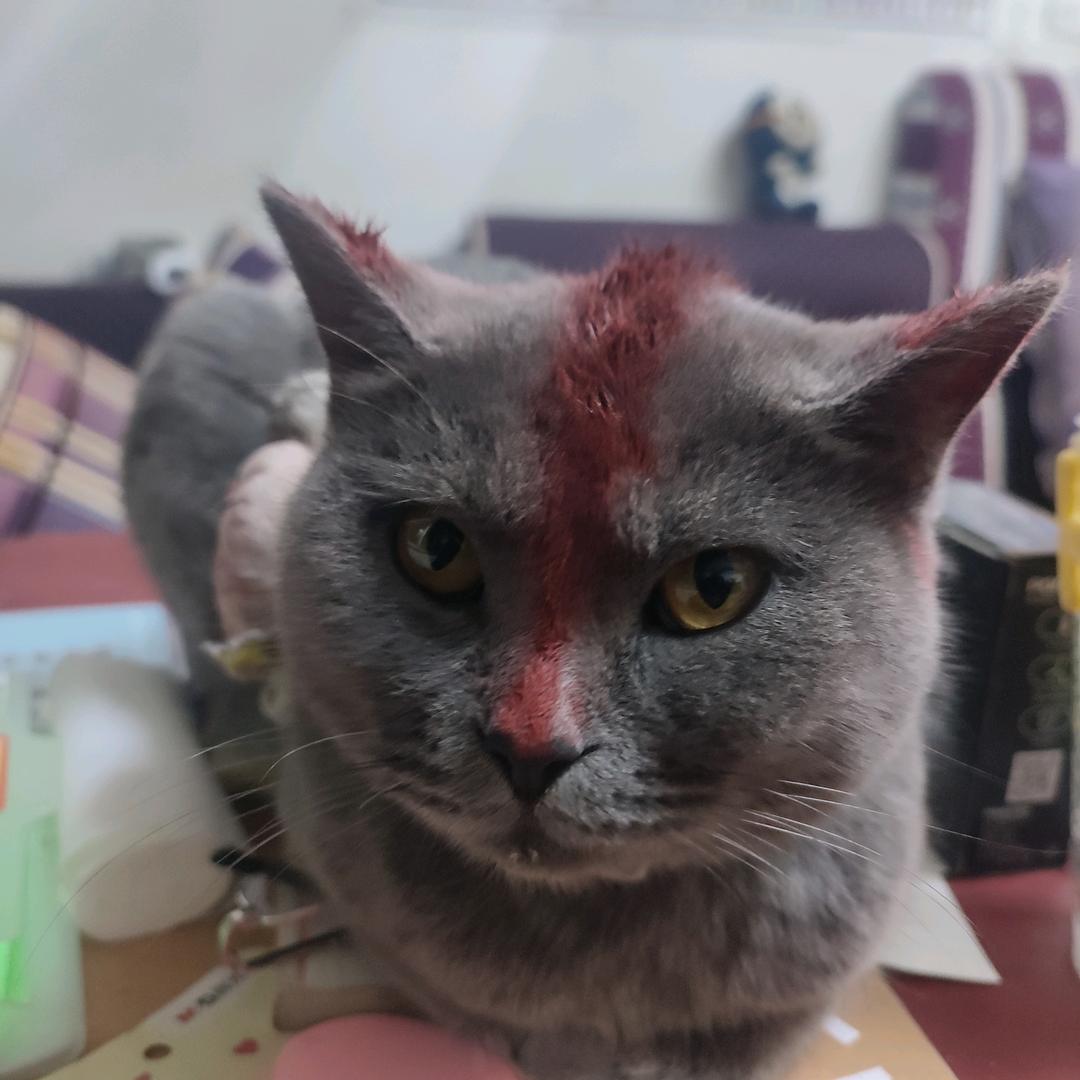 牵手