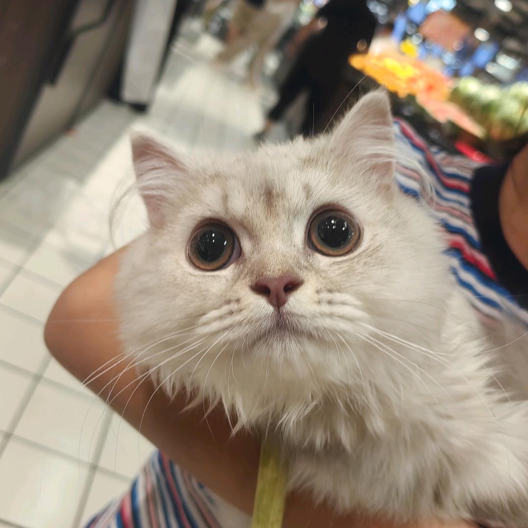 小佳煜