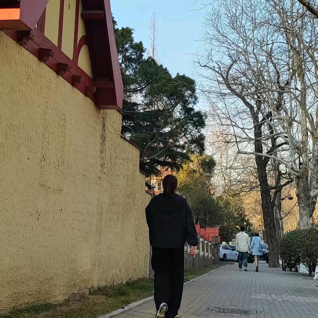 宝儿