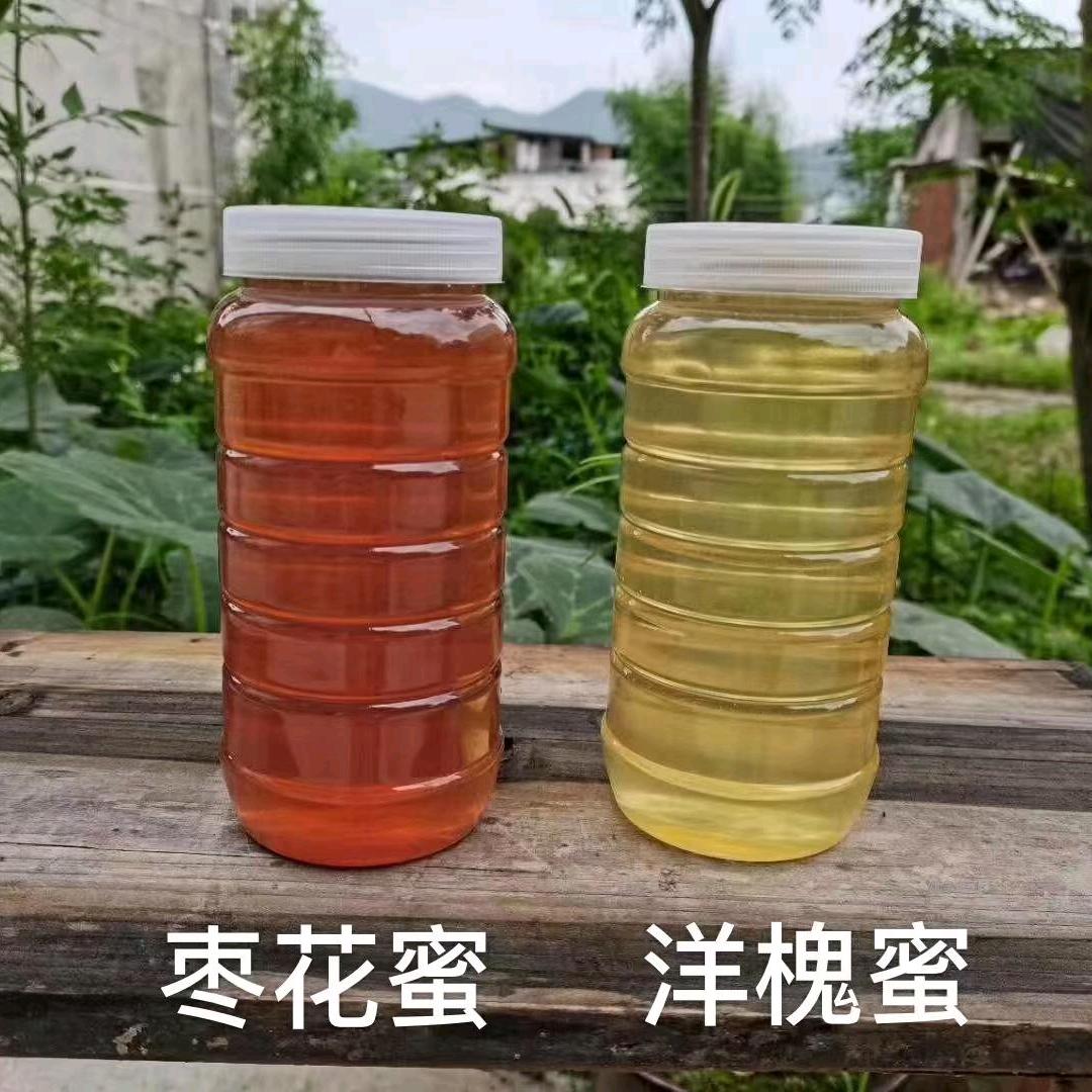 四季发财