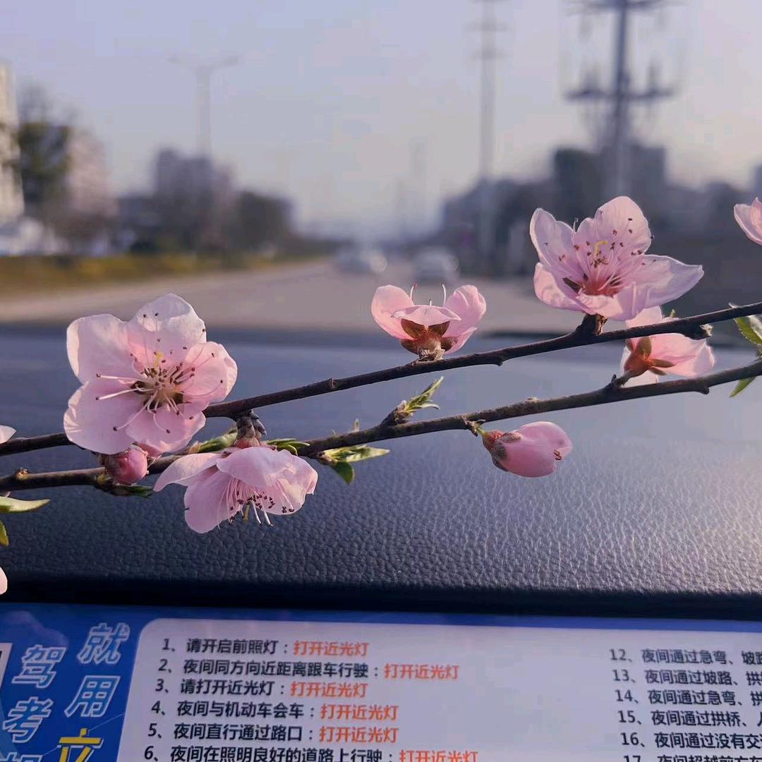 义乌市优秀教练员—李教练