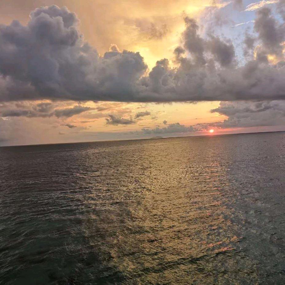 浓烟下