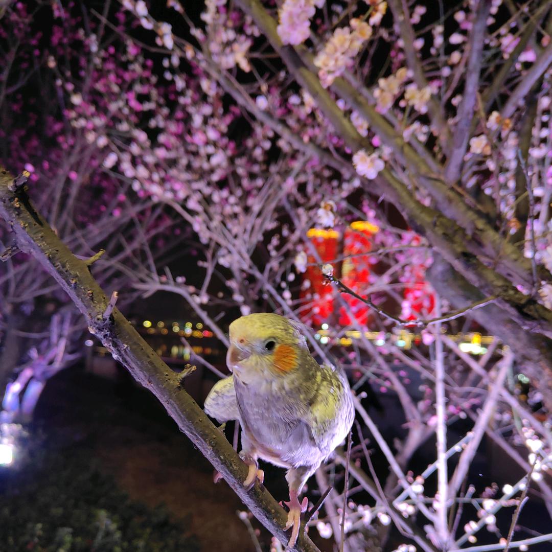 孩子成长记
