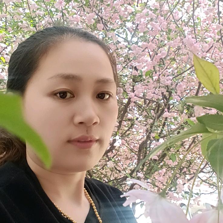 小王爆炒盒饭
