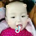 小蜜蜂