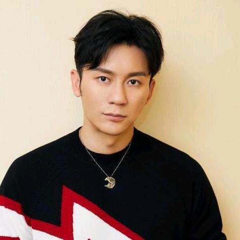 黄梅戏演员吴森林吴总吴老板