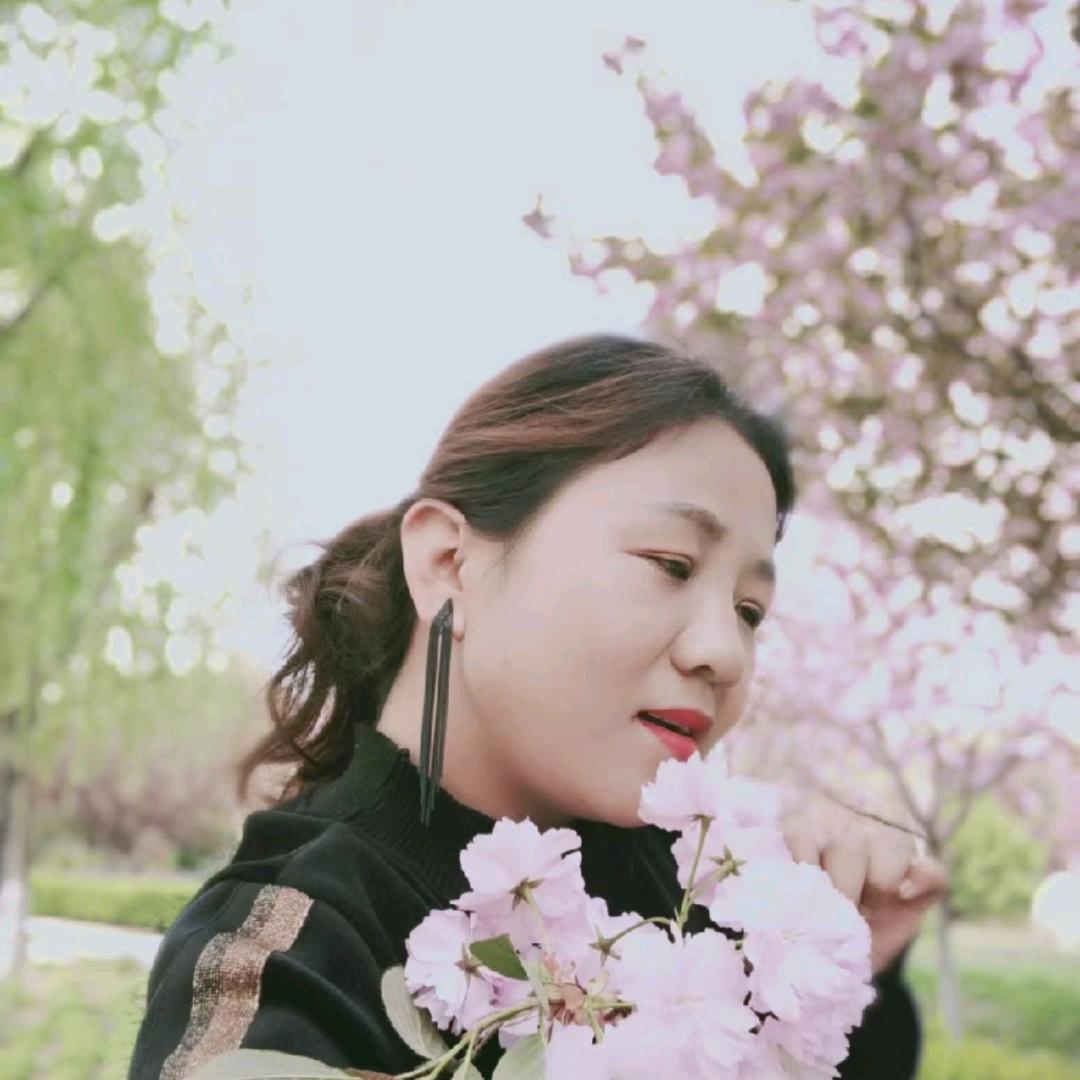 菲儿