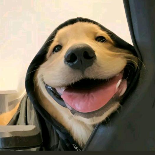 艾^0^