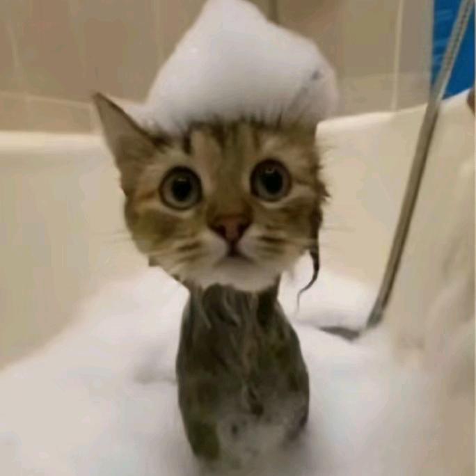 vvvvv