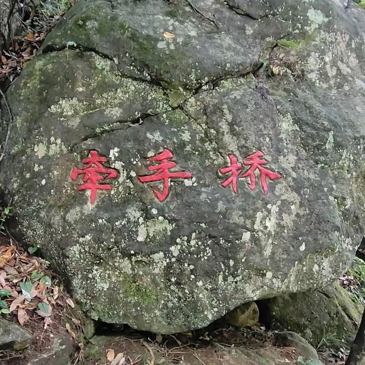 🌹微笑，向暖🌹