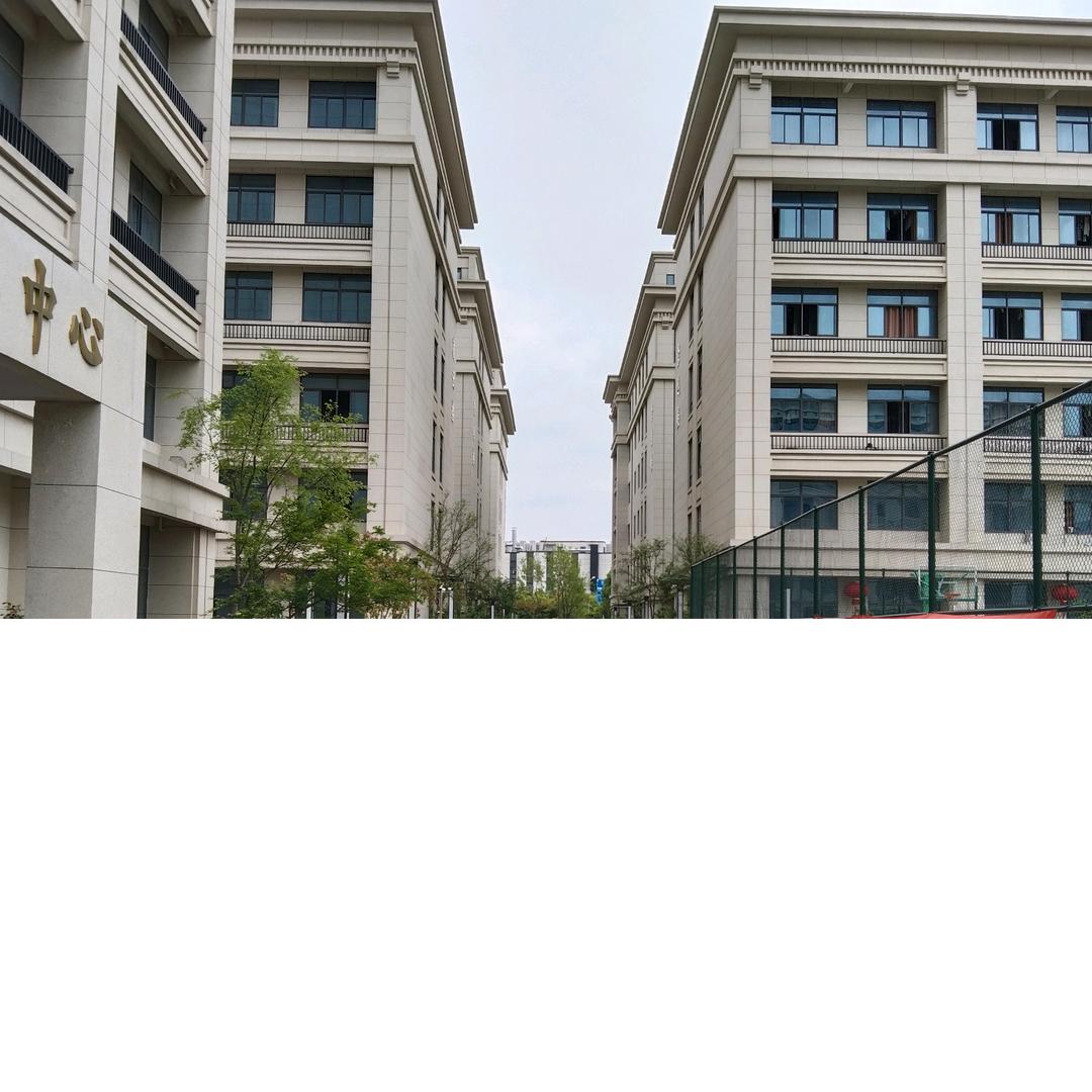 学习规划