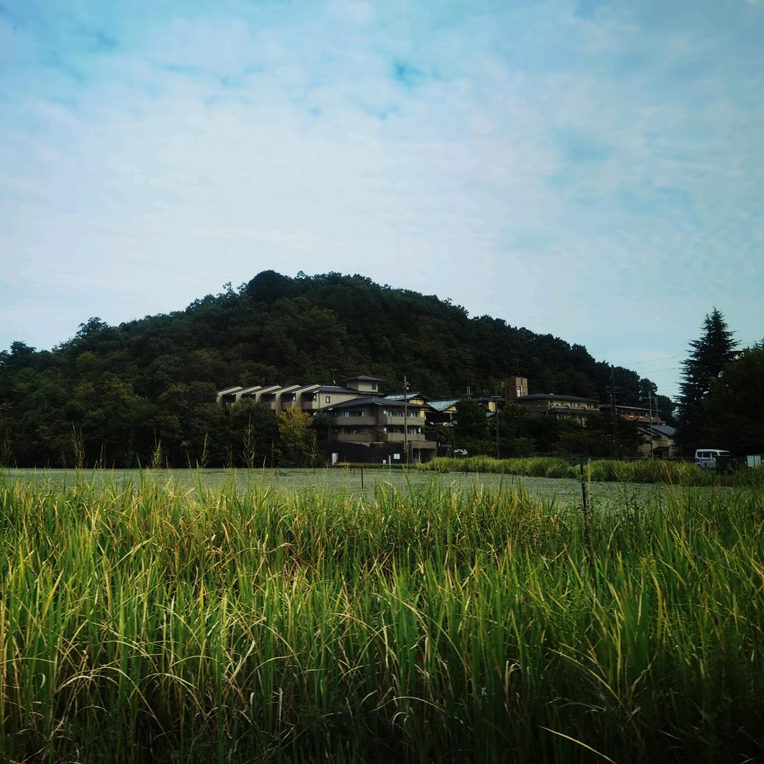 “”沉默是金“”