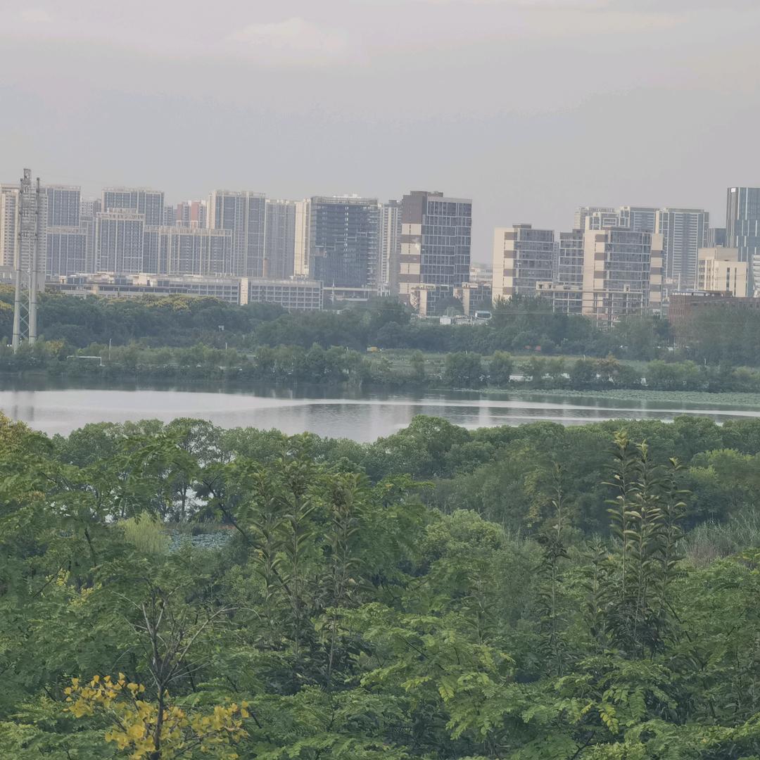 一念波若翠柒柒