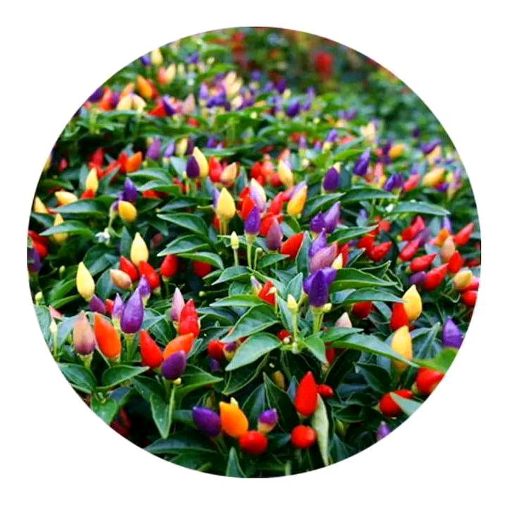 💖ღ余生᭄爱ღ自己᭄ꦿ꯭💖