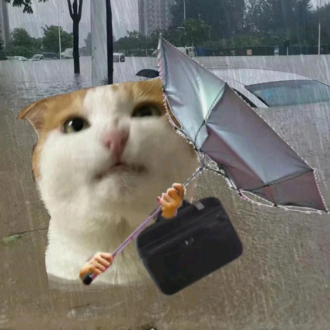 我是青青草院院长