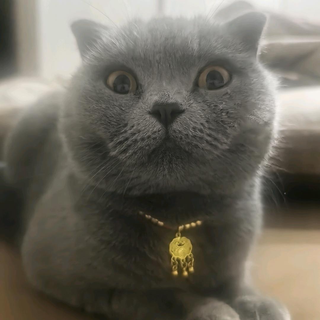 宝儿🌙