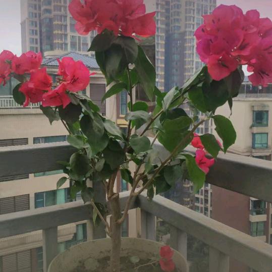 夏天来了