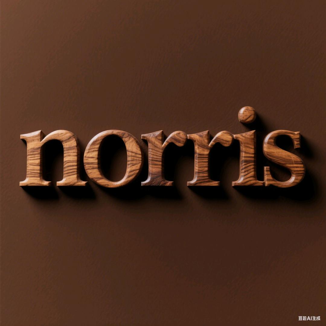 Norris饰品