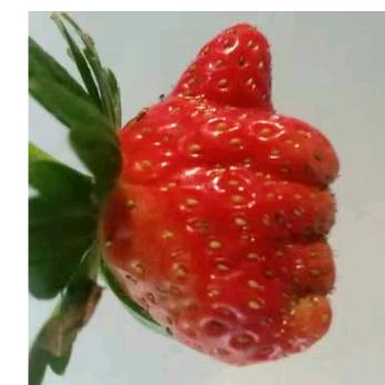 我就是我_209181621