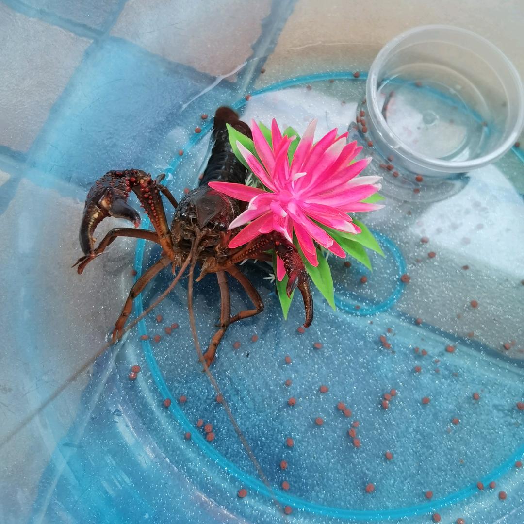 孙姐🦂🦂🦂🦂🦂🦂