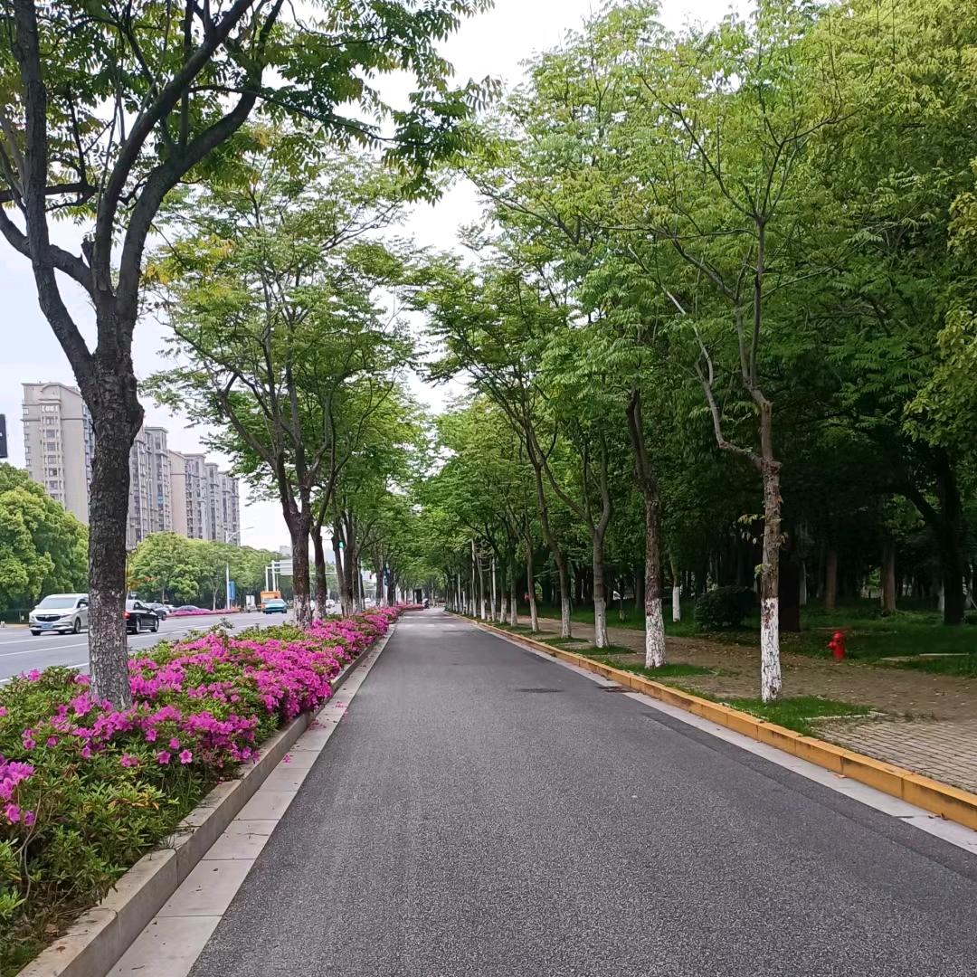 明朝，山竹🤗