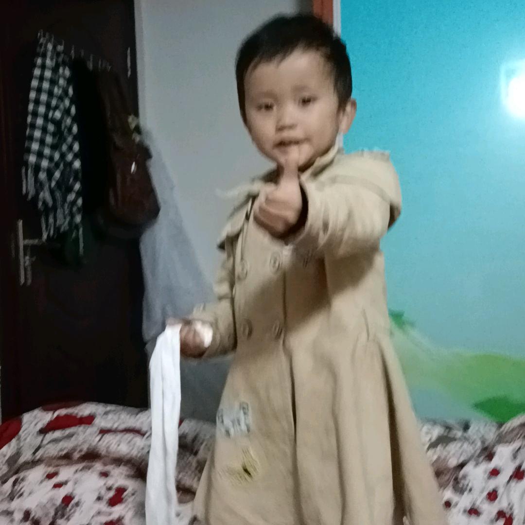 鲸鱼🐳