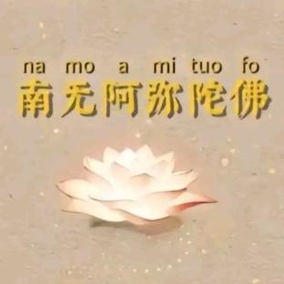 贺泽