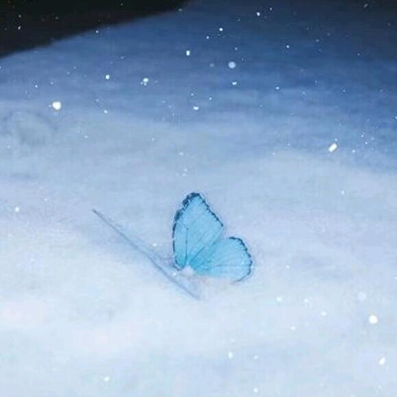 秋雨