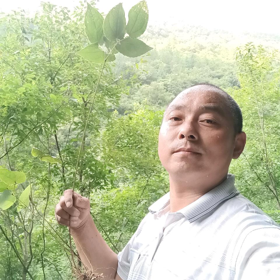 用户1984718741228