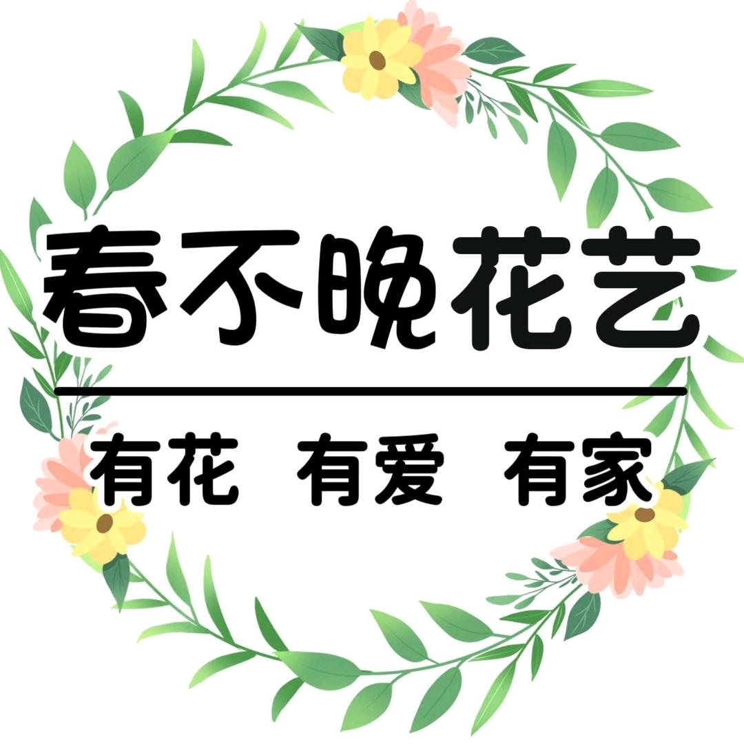 春不晚花卉绿植