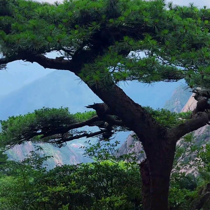 快乐的我